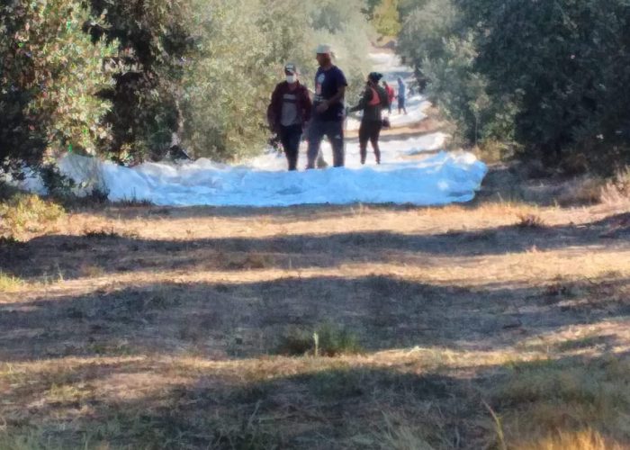 WhatsApp Image 2026-03-09 at 11.26.24